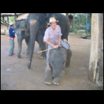 Thailand 2007 402.jpg